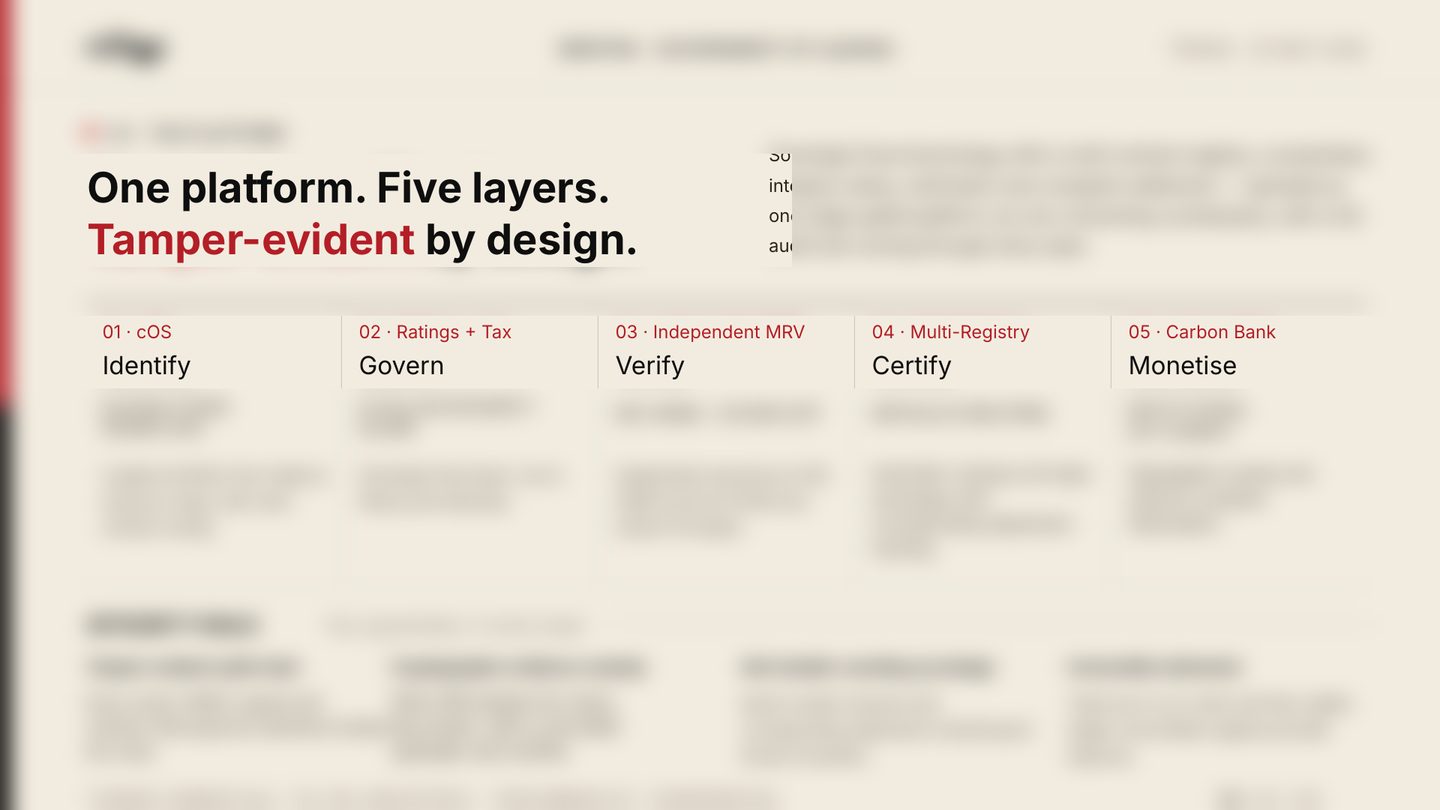Government briefing slide: platform structure in five layers